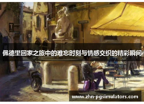 佩德里回家之旅中的难忘时刻与情感交织的精彩瞬间