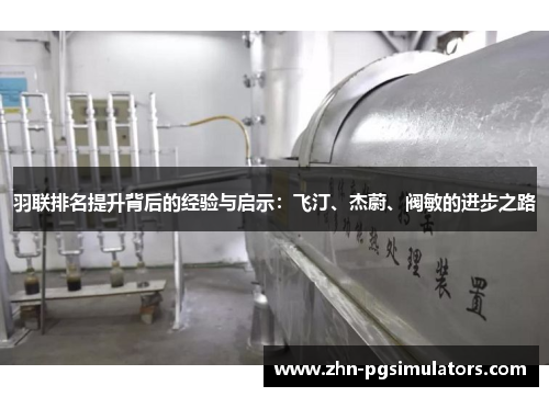 羽联排名提升背后的经验与启示：飞汀、杰蔚、阀敏的进步之路