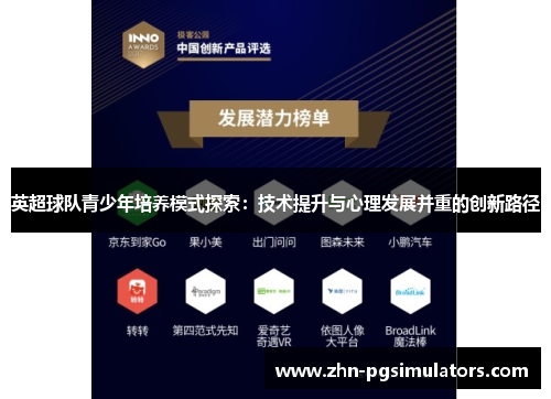 英超球队青少年培养模式探索：技术提升与心理发展并重的创新路径