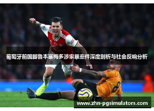葡萄牙前国脚鲁本塞梅多涉家暴案件深度剖析与社会反响分析