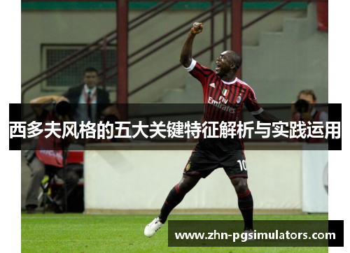 西多夫风格的五大关键特征解析与实践运用