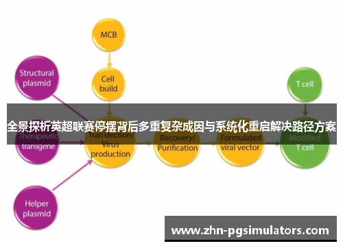 全景探析英超联赛停摆背后多重复杂成因与系统化重启解决路径方案