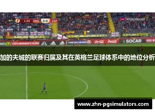 加的夫城的联赛归属及其在英格兰足球体系中的地位分析 加的夫城的联赛归属及其在英格兰足球体系中的地位分析