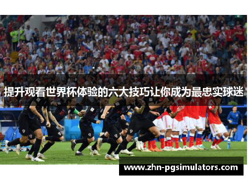 提升观看世界杯体验的六大技巧让你成为最忠实球迷