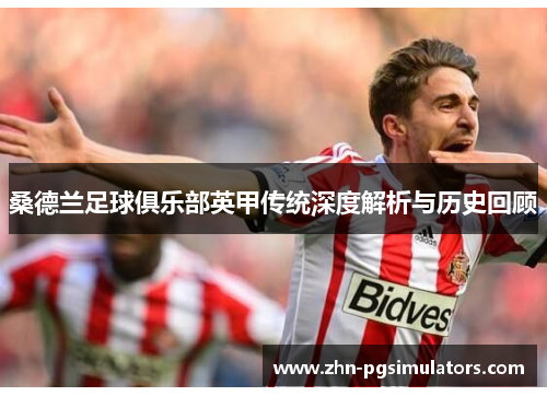 桑德兰足球俱乐部英甲传统深度解析与历史回顾