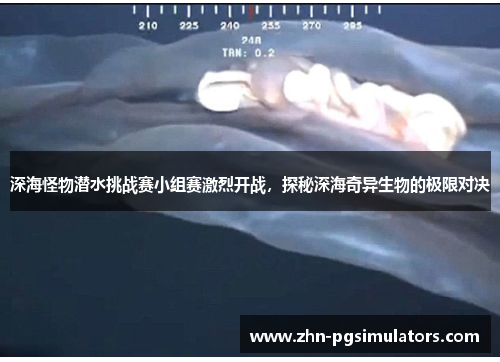 深海怪物潜水挑战赛小组赛激烈开战，探秘深海奇异生物的极限对决